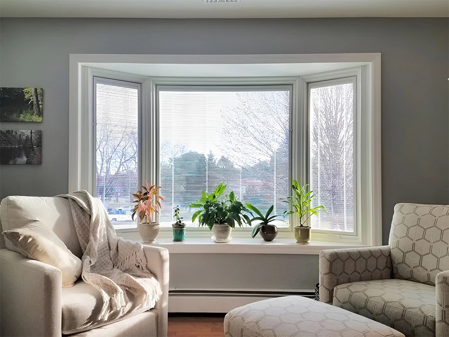 Naperville Bay or Bow Windows